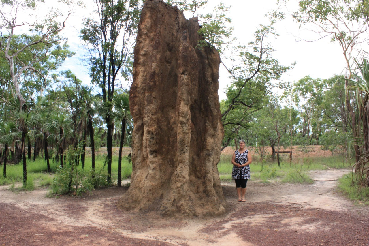 Waterfalls of Litchfield National Park