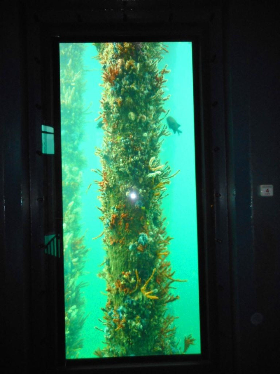 Busselton Jetty & Cape Naturaliste