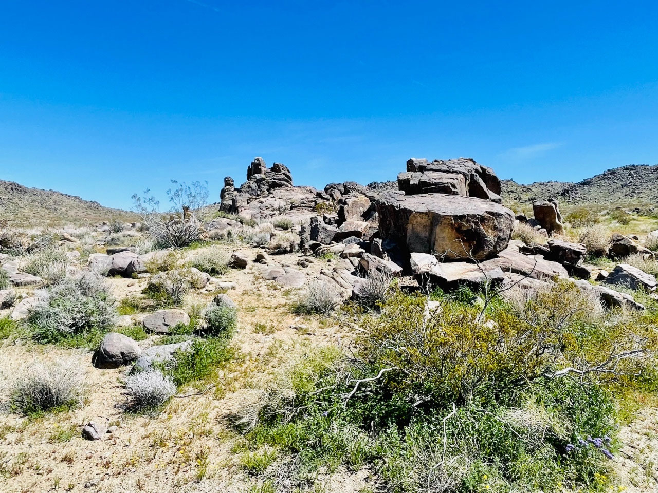 I rode in the desert with a horse…