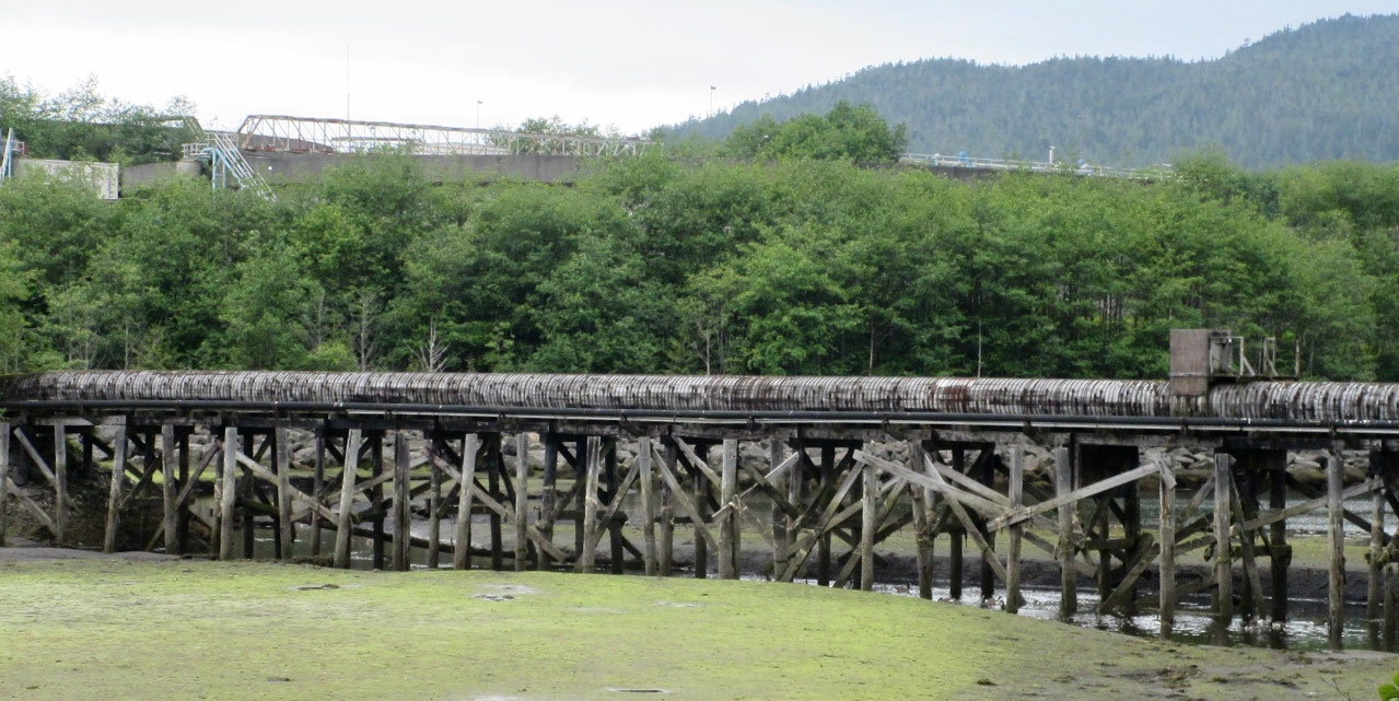 An old wood-stave pipeline